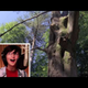 Kids narrate <em>Planet Earth</em>, and adorableness ensues